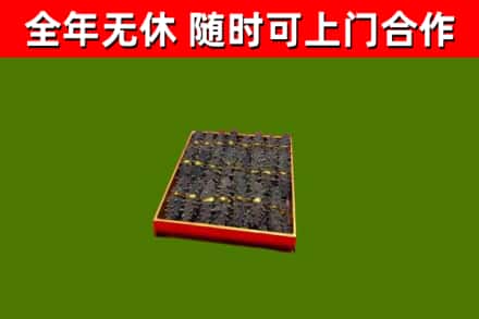 新都回收海参